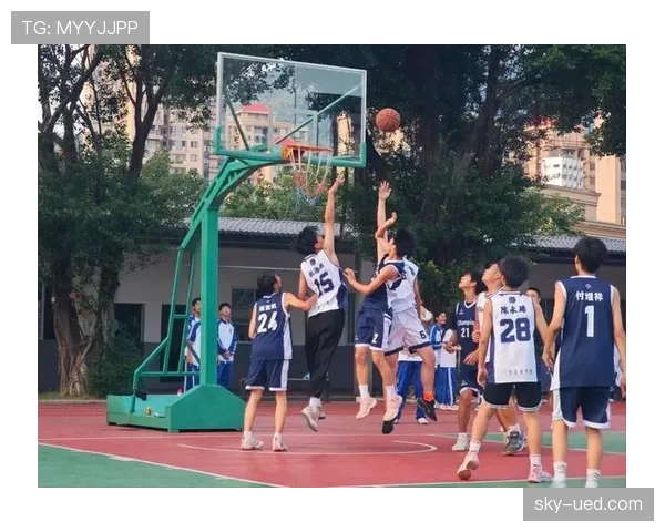 篮球比赛中边线规则的详细解析与适用情况
